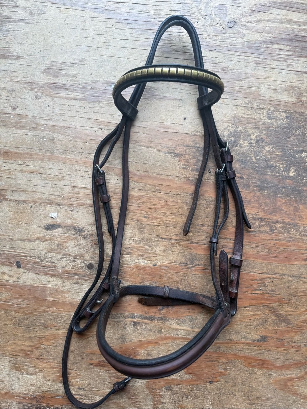 Cob clincher bridle